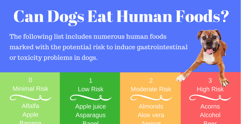 what human foods can dogs eat