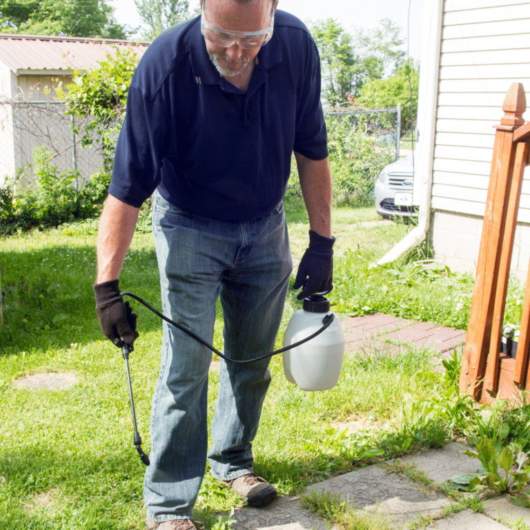 is-your-weed-killer-safe-for-pets-puppy-smarts